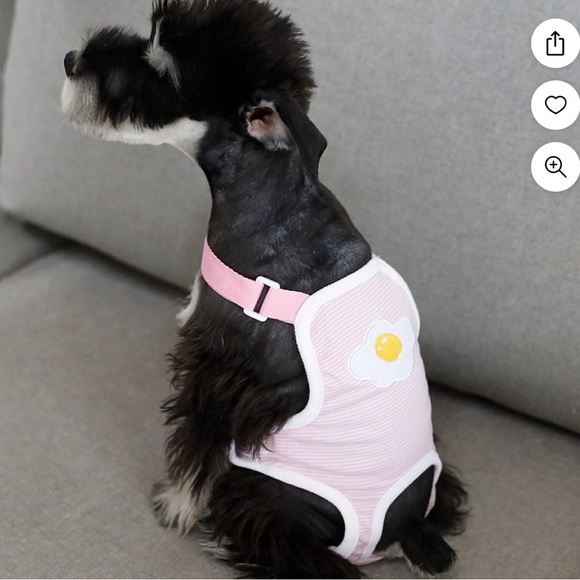 Lot Of 2 Female Dog Diapers And‎ 1 Sanitary Diaper 2 Small And 1 XS See Pictures - Picture 4 of 16